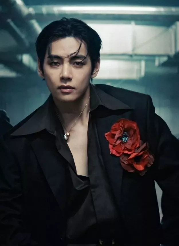 뷔 (방탄소년단) 팬이 찍은 순간