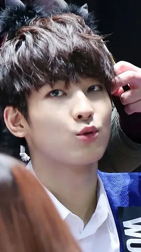 Fan-made special wallpaper for Wonwoo (SEVENTEEN)