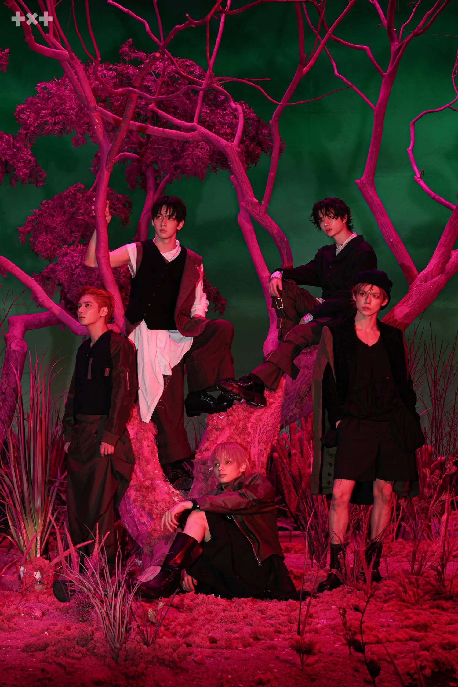 TOMORROW X TOGETHER粉丝拍下的瞬间