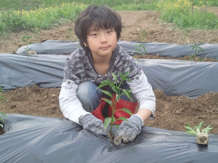 Recent activity shot of Sungho (BOYNEXTDOOR)