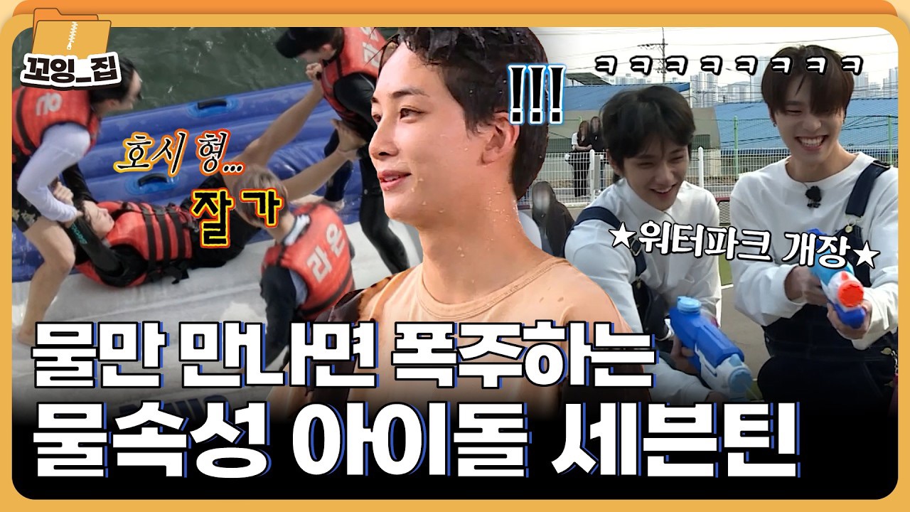 세븐틴 팬이 찍은 순간