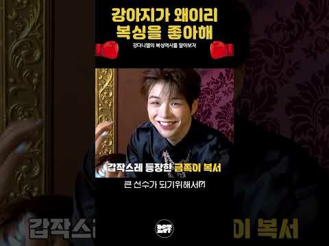 강다니엘 최근 활동샷