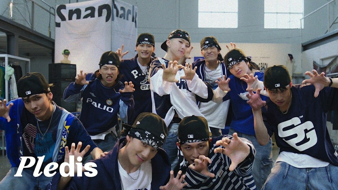 A moment captured by Hoshi (SEVENTEEN)'s fan