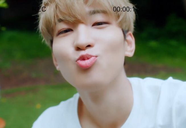 Recent activity shot of Wonwoo (SEVENTEEN)