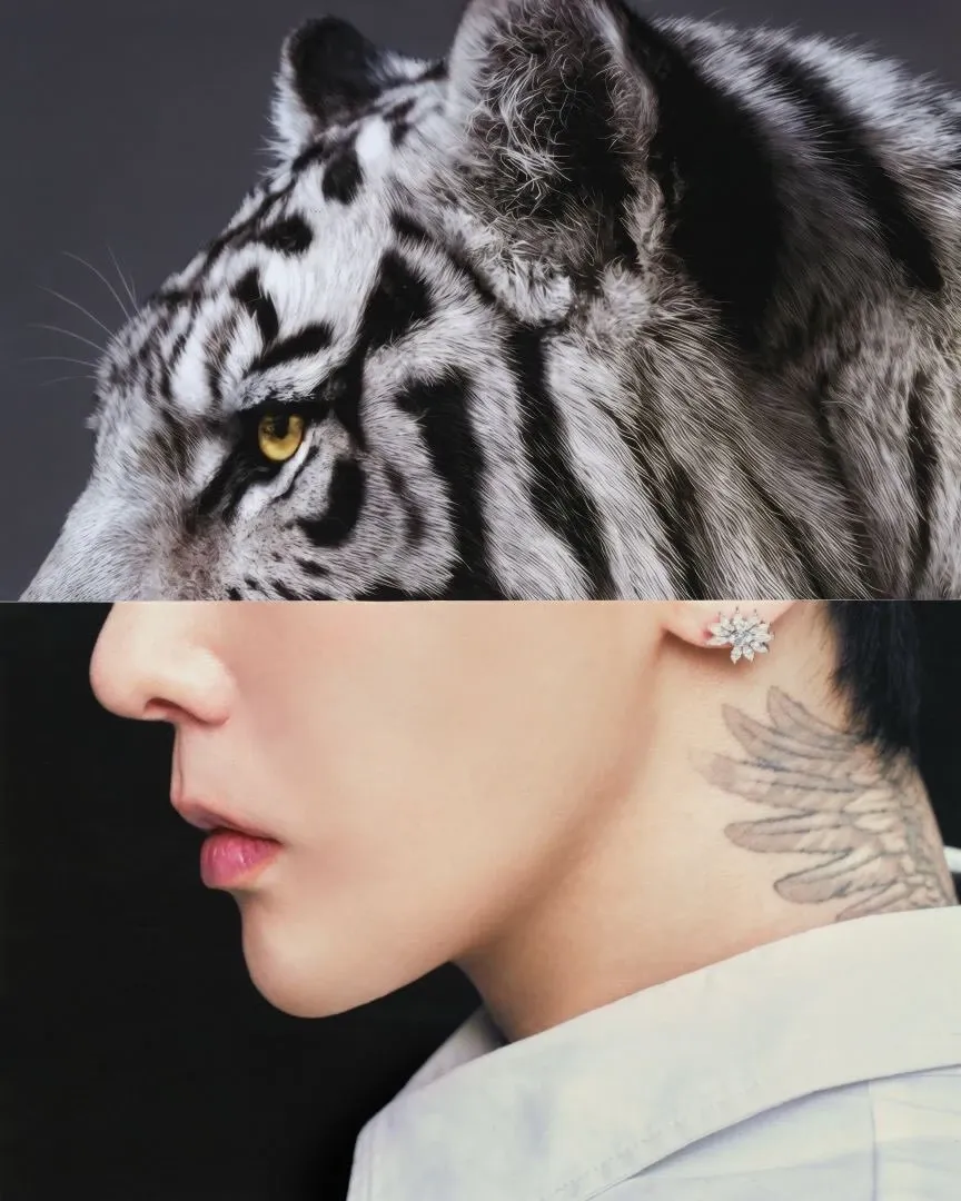 Latest photo of G-DRAGON (BIGBANG)