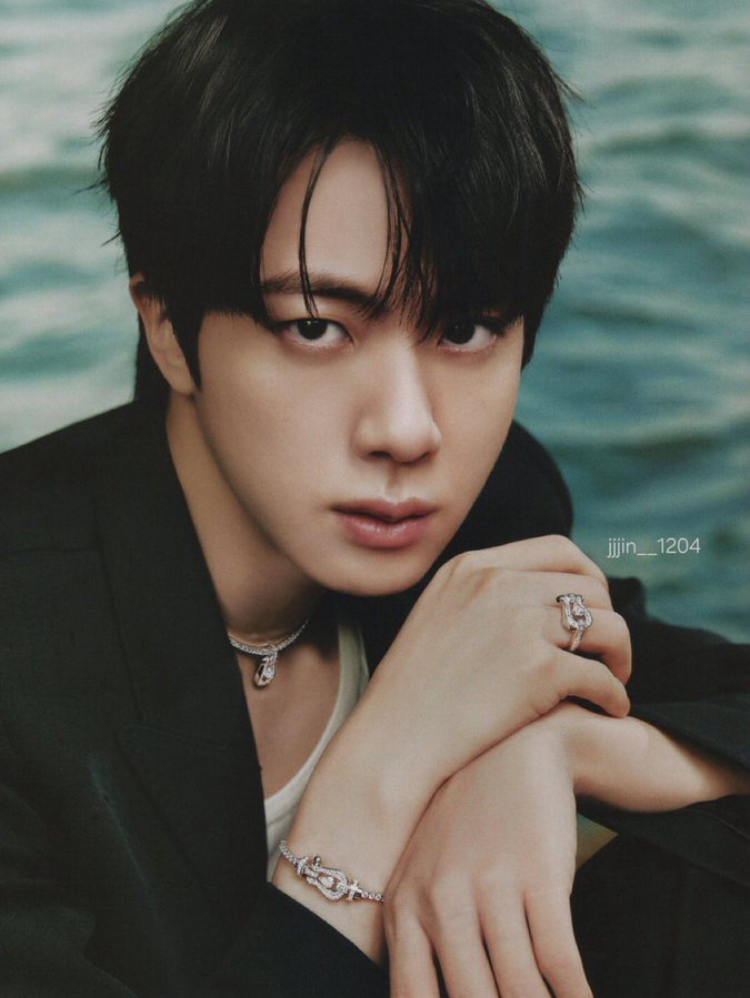 A moment captured by Jin (BTS)'s fan