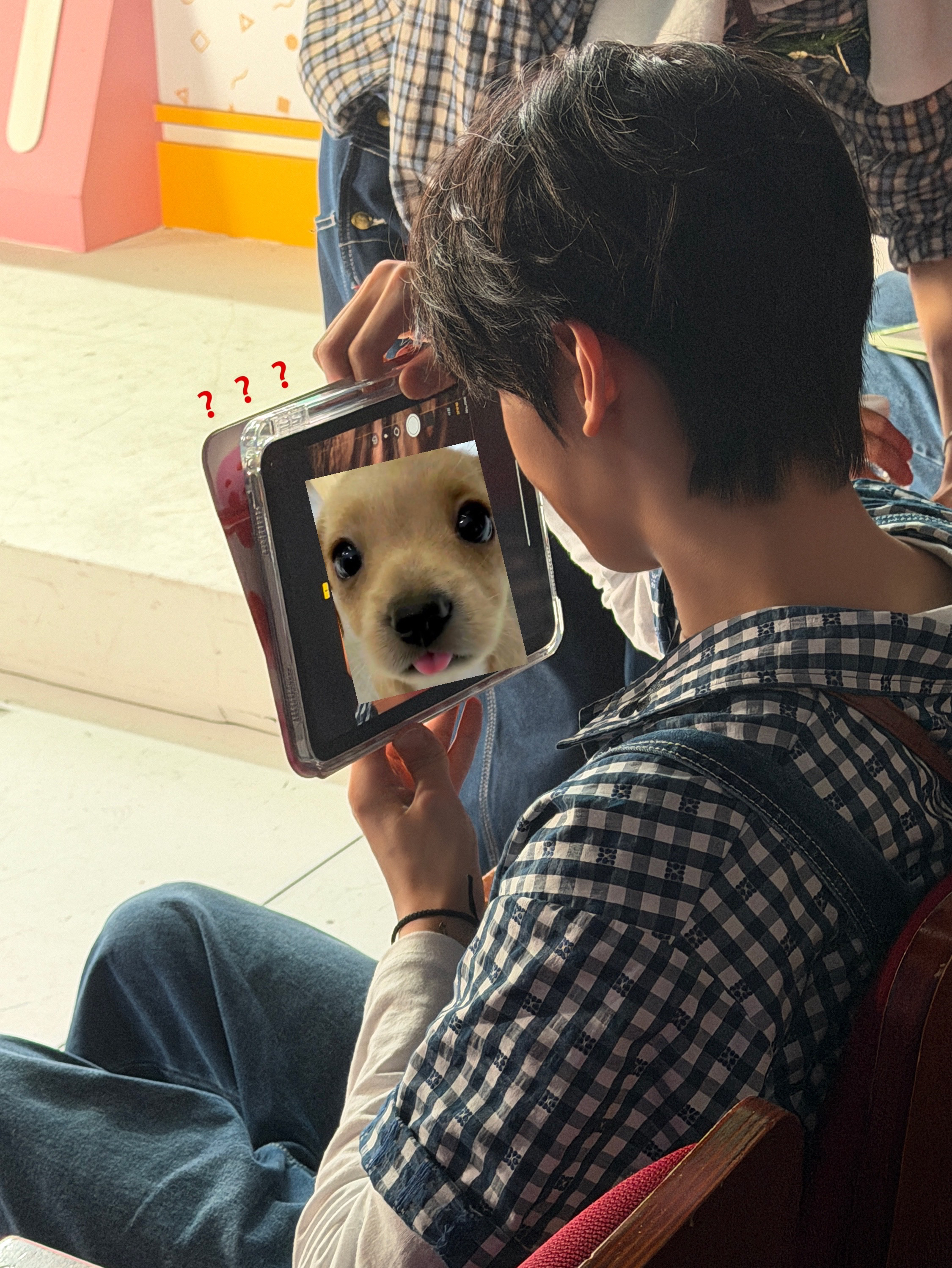 Latest photo of Kim Gyuvin