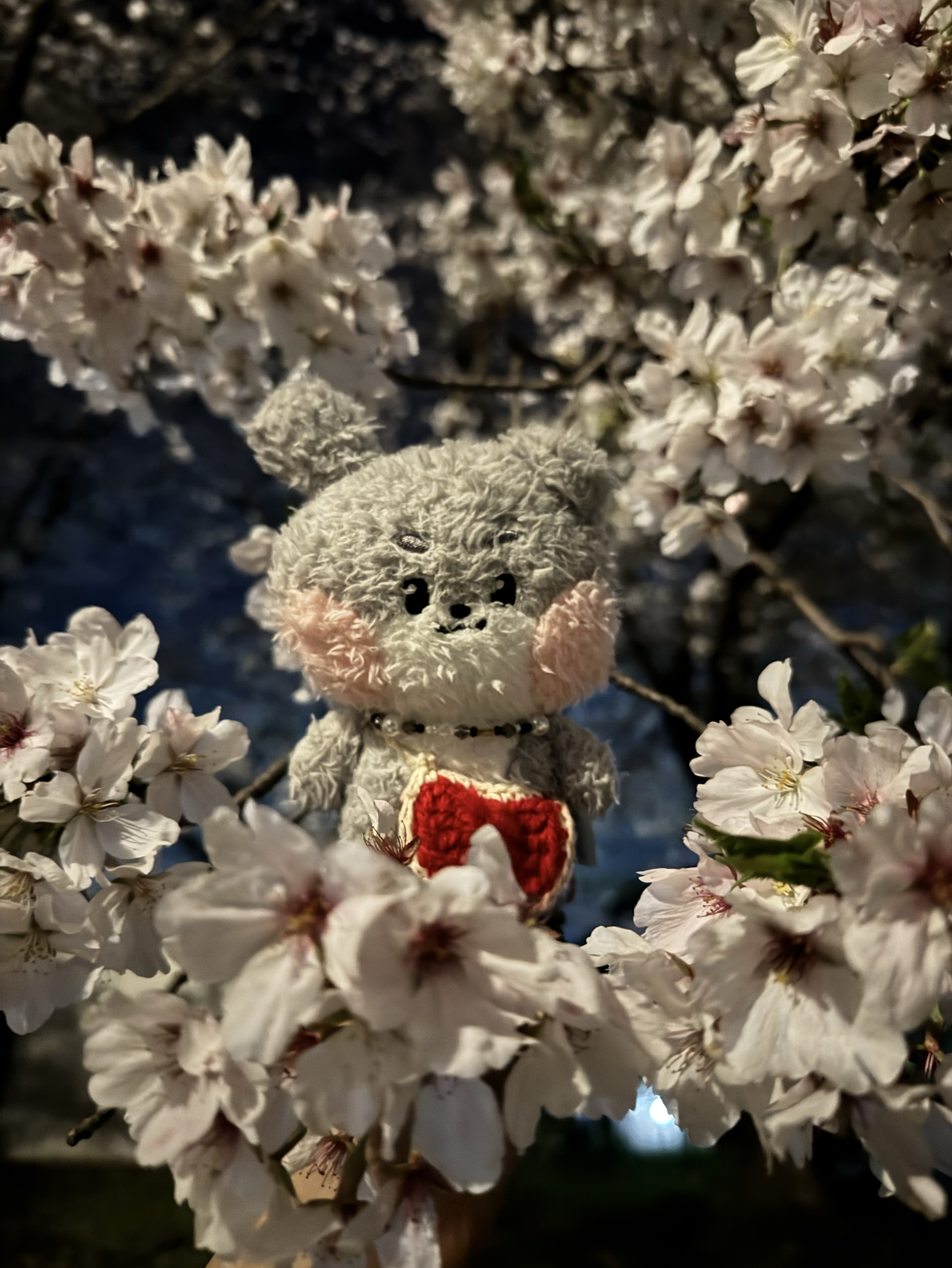 Latest photo of Park Gunwook (ZEROBASEONE)