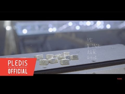 세븐틴 팬이 찍은 순간