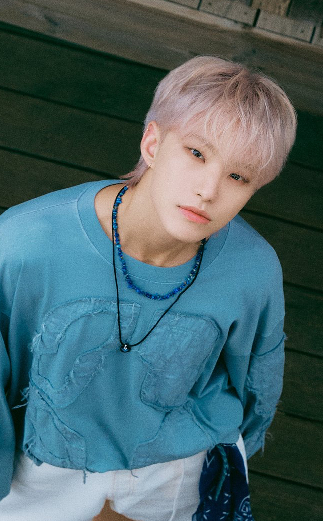 A moment captured by Hoshi (SEVENTEEN)'s fan