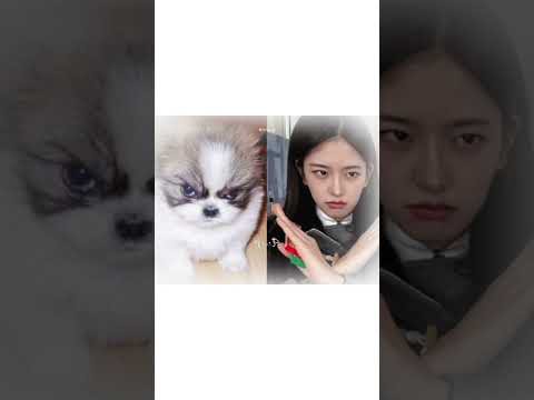 안유진 (IVE)의 비하인드 컷