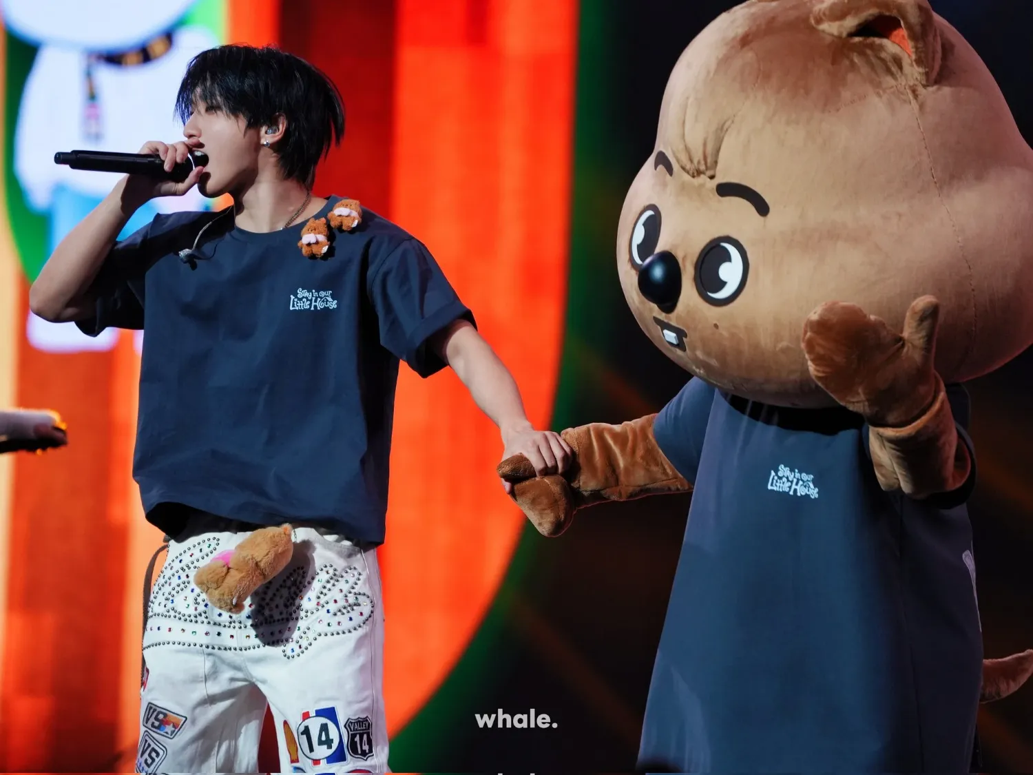 A moment captured by HAN (Stray Kids)'s fan