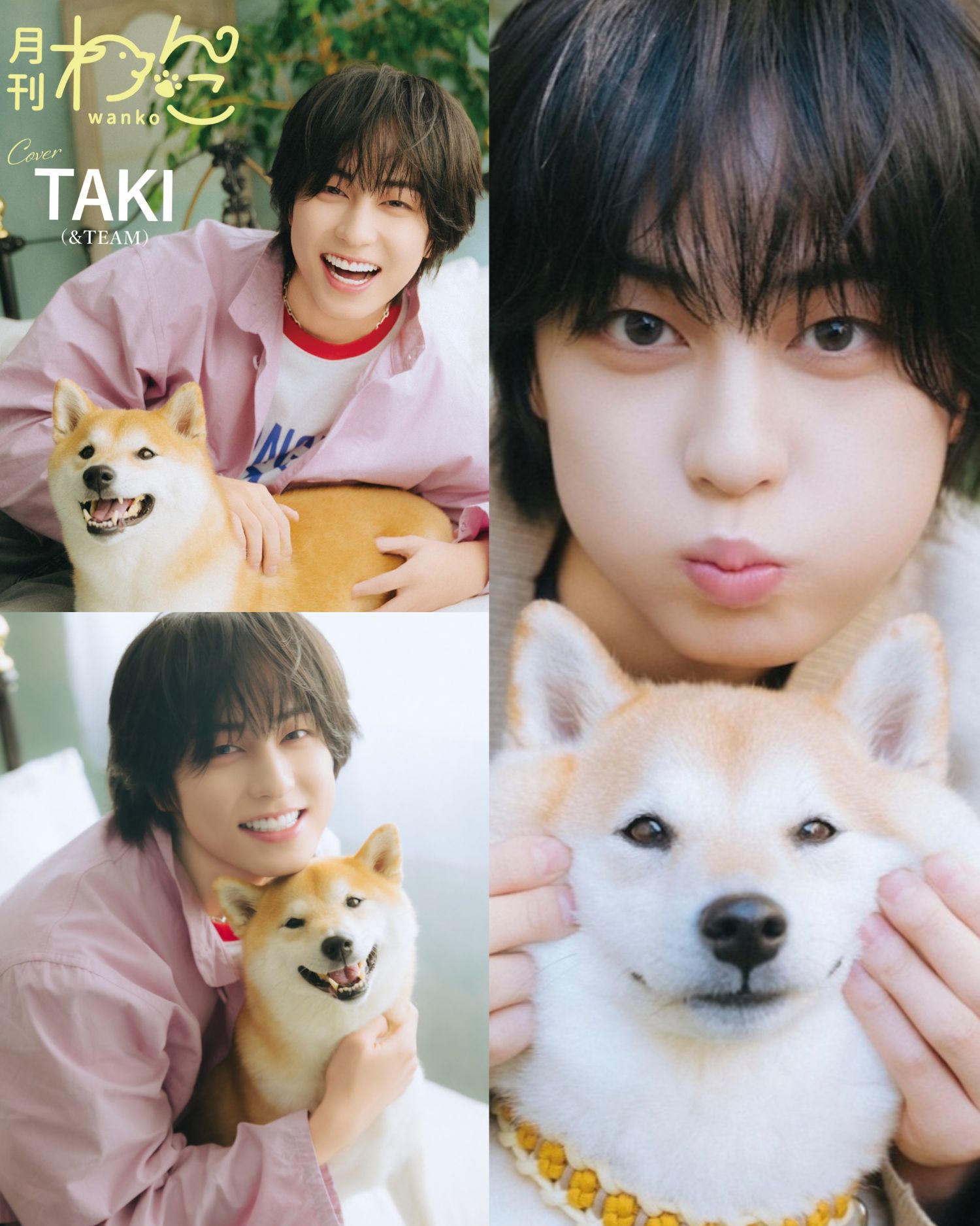 Recent activity shot of Taki (&TEAM)