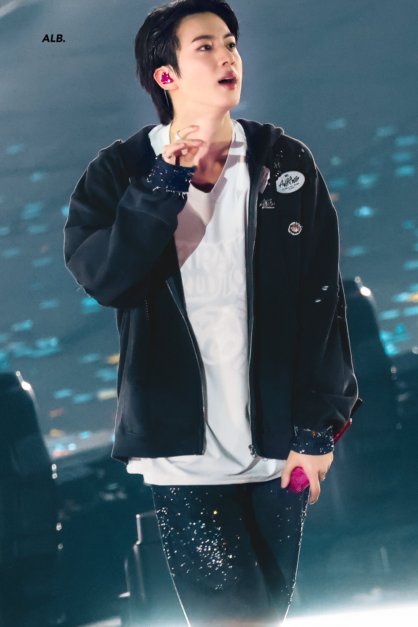 진 (방탄소년단) 팬이 찍은 순간