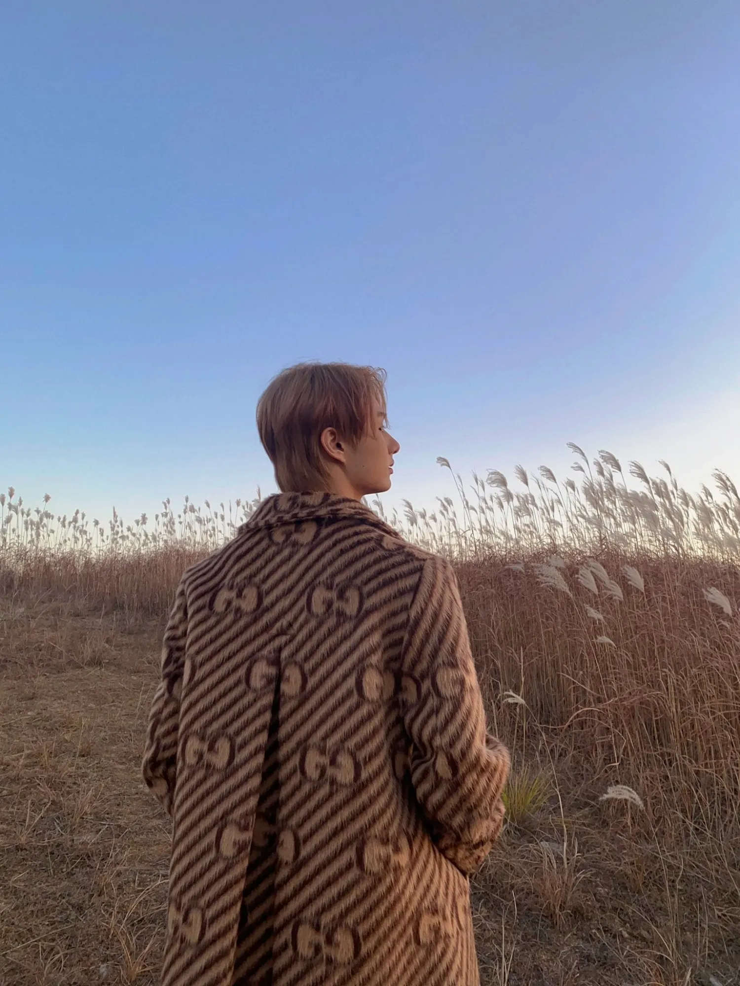 세븐틴 팬이 찍은 순간