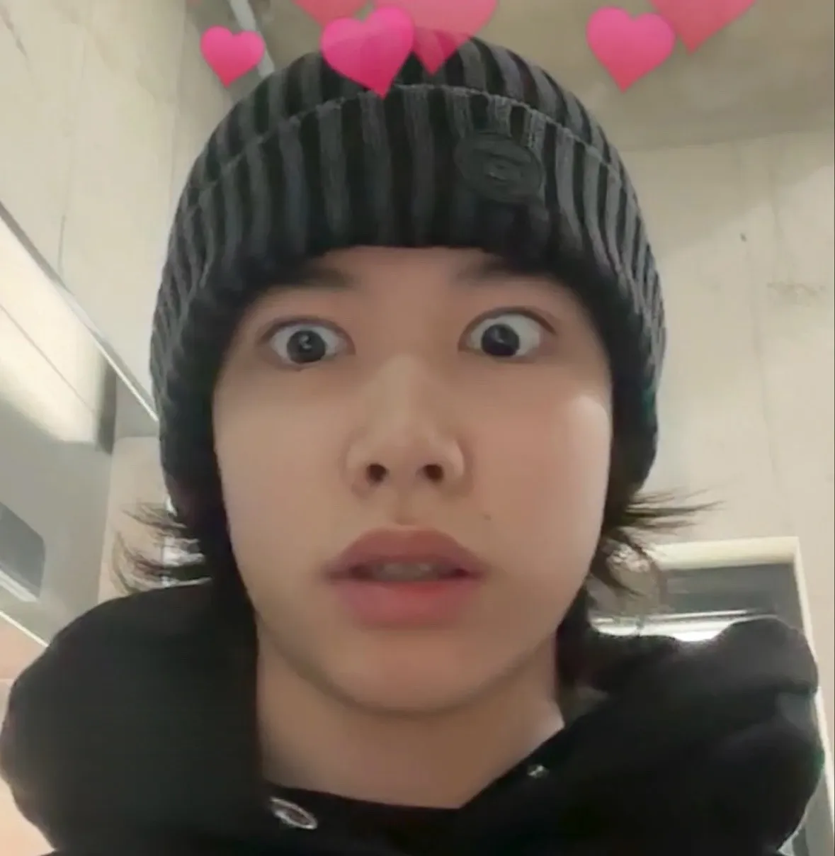 Recent activity shot of Louis (LNGSHOT)