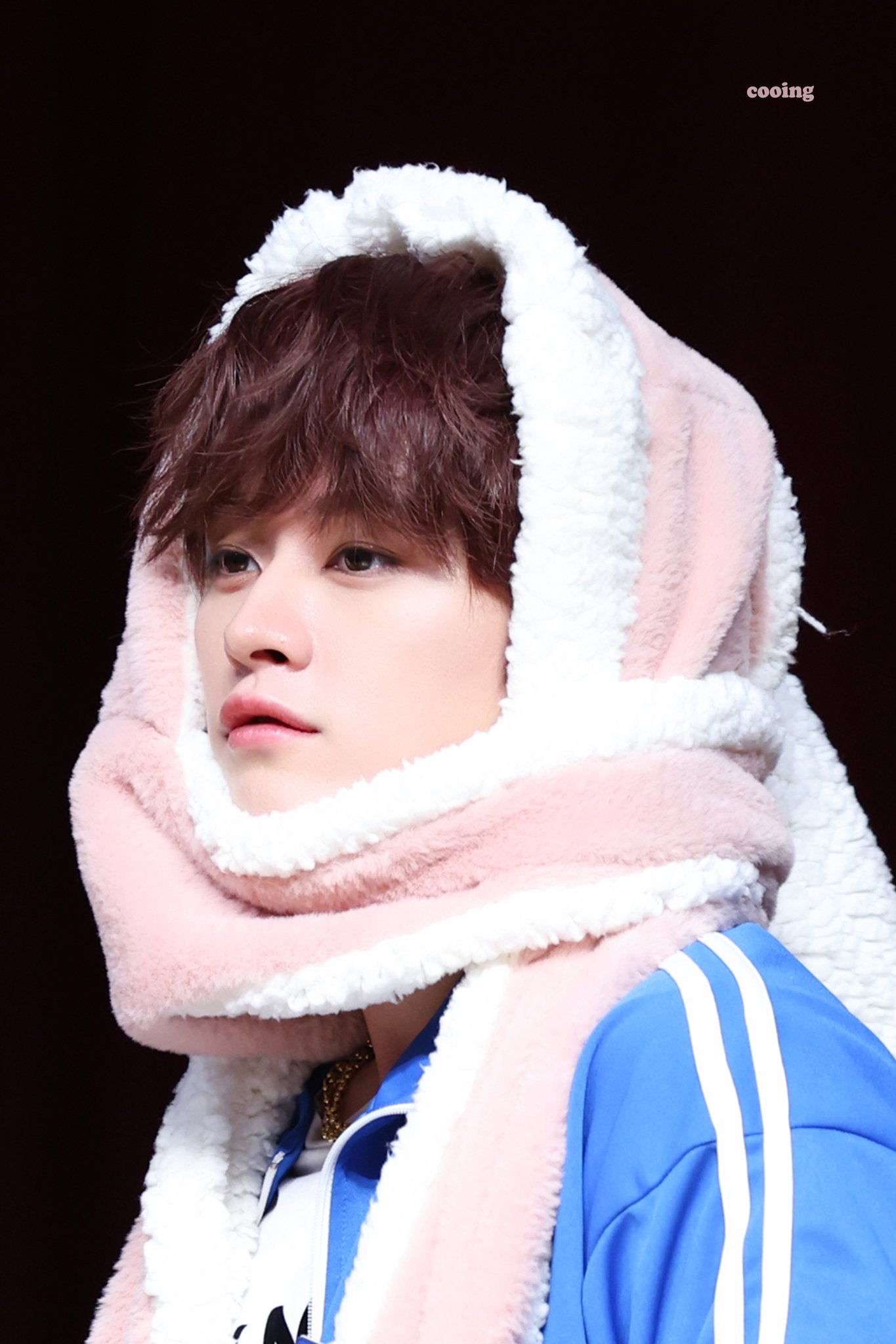 Recent activity shot of Lee Know (Stray Kids)