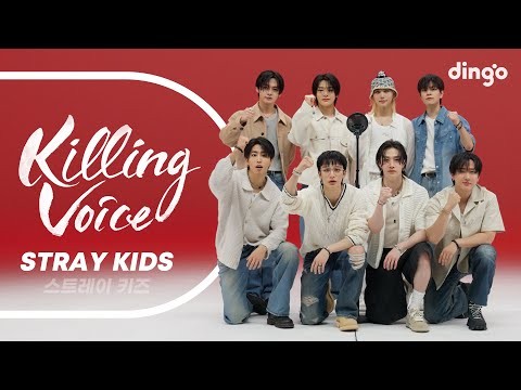 Momen yang diabadikan oleh penggemar Stray Kids