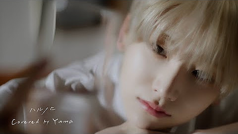 A moment captured by Yuma (&TEAM)'s fan