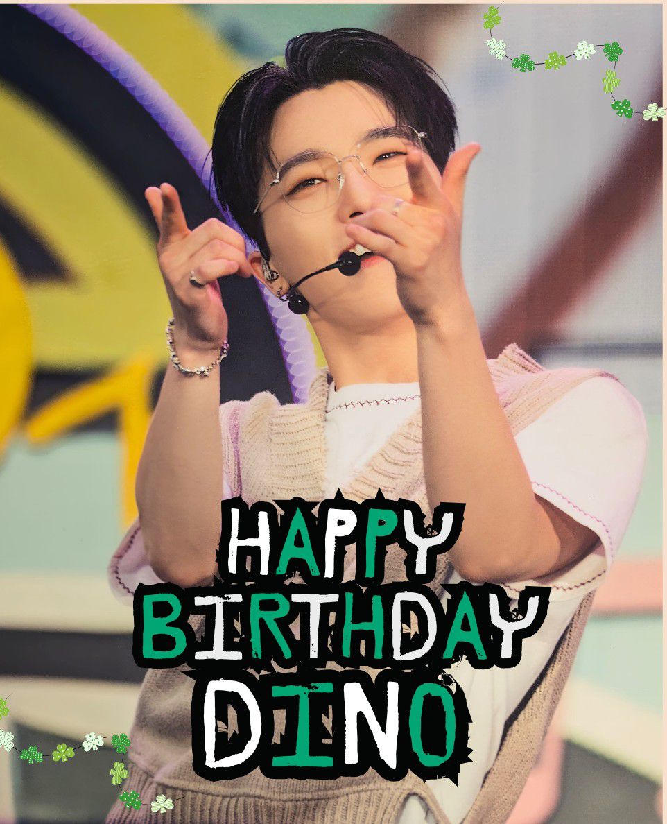 디노 (세븐틴) 팬이 찍은 순간