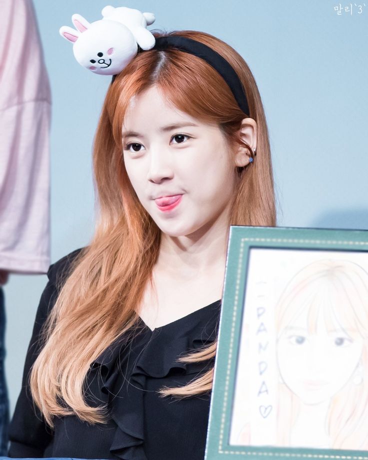 에이핑크 팬이 찍은 순간