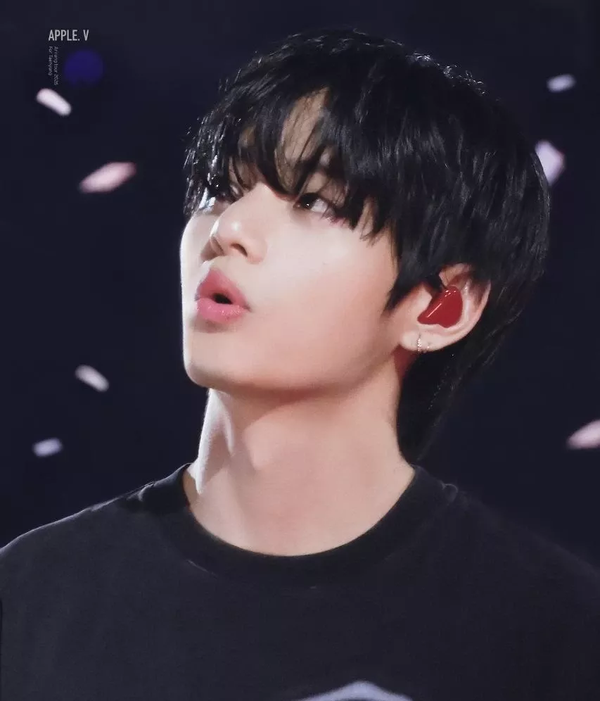 Potret di balik layar V (BTS)