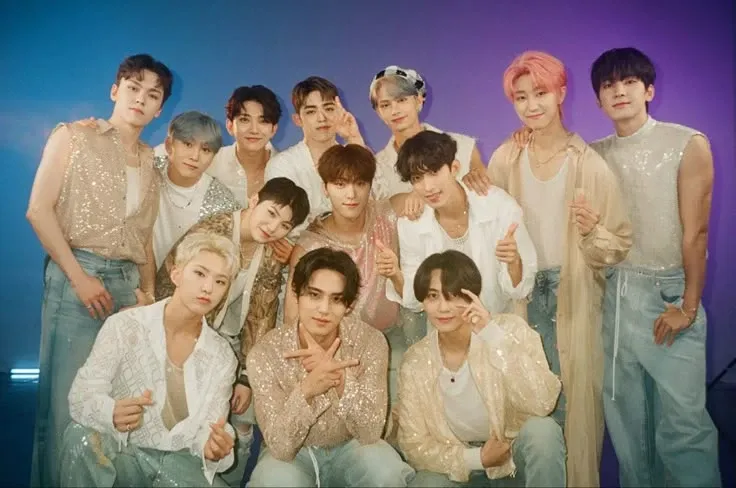 세븐틴 팬이 찍은 순간