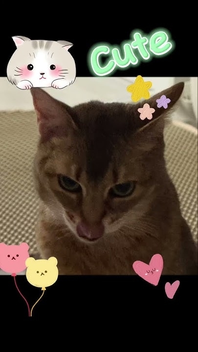 강다니엘의 팬들이 직접 만든 특별한 배경화면