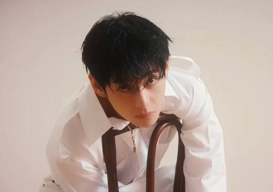 V (BTS)ファンが撮った瞬間