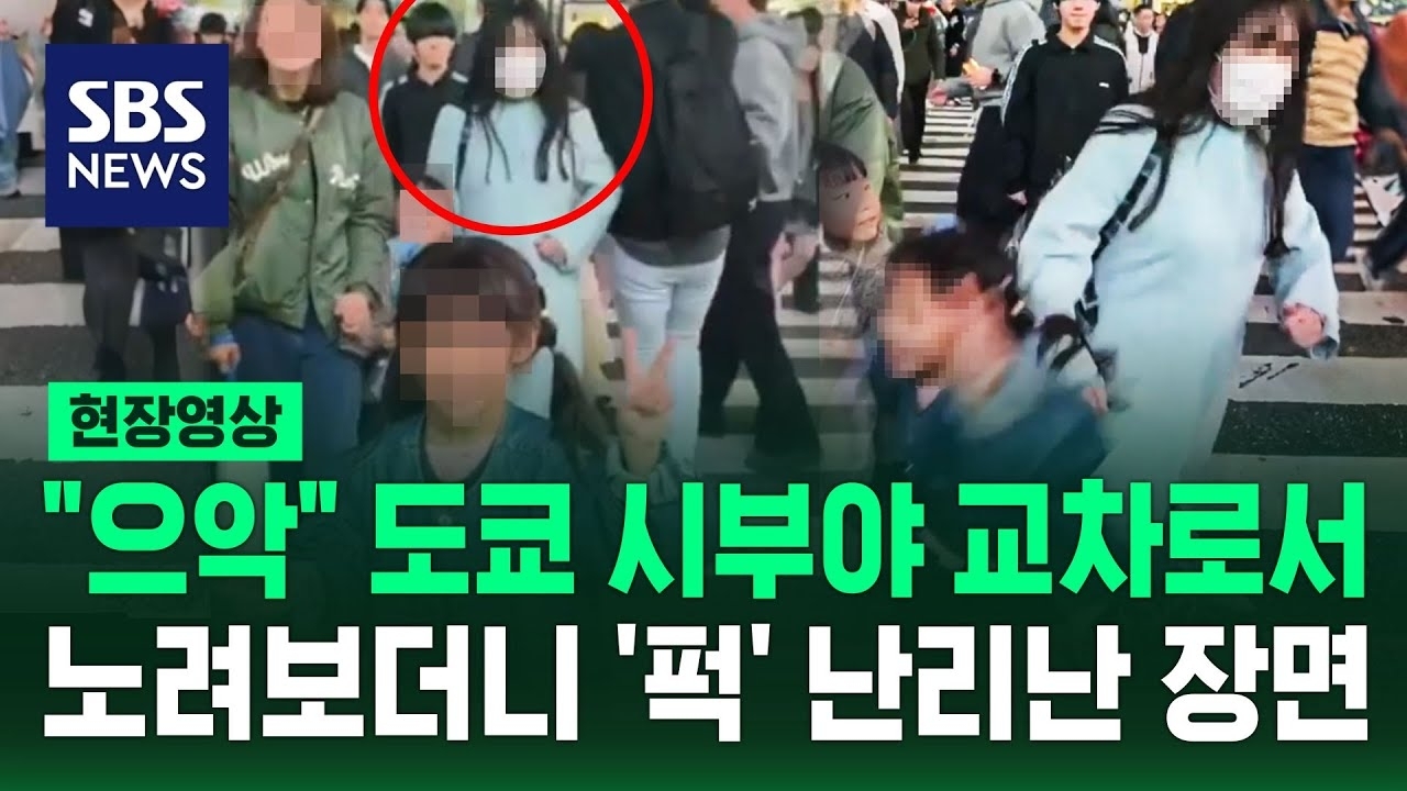 TWICE 최근 활동샷