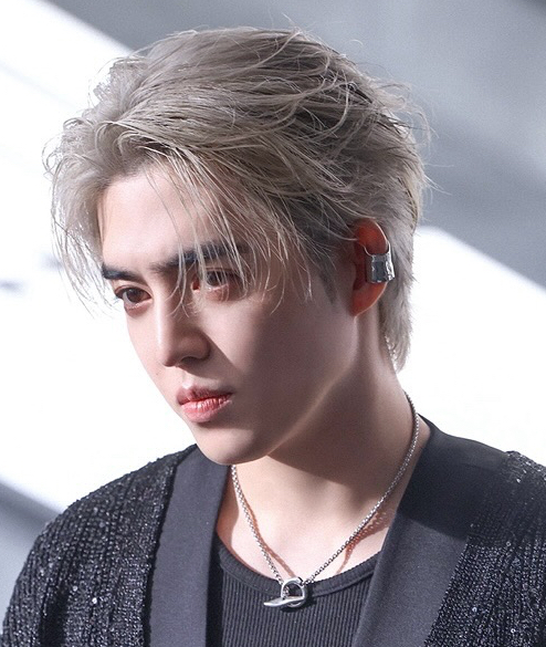 Recent activity shot of S.Coups (SEVENTEEN)