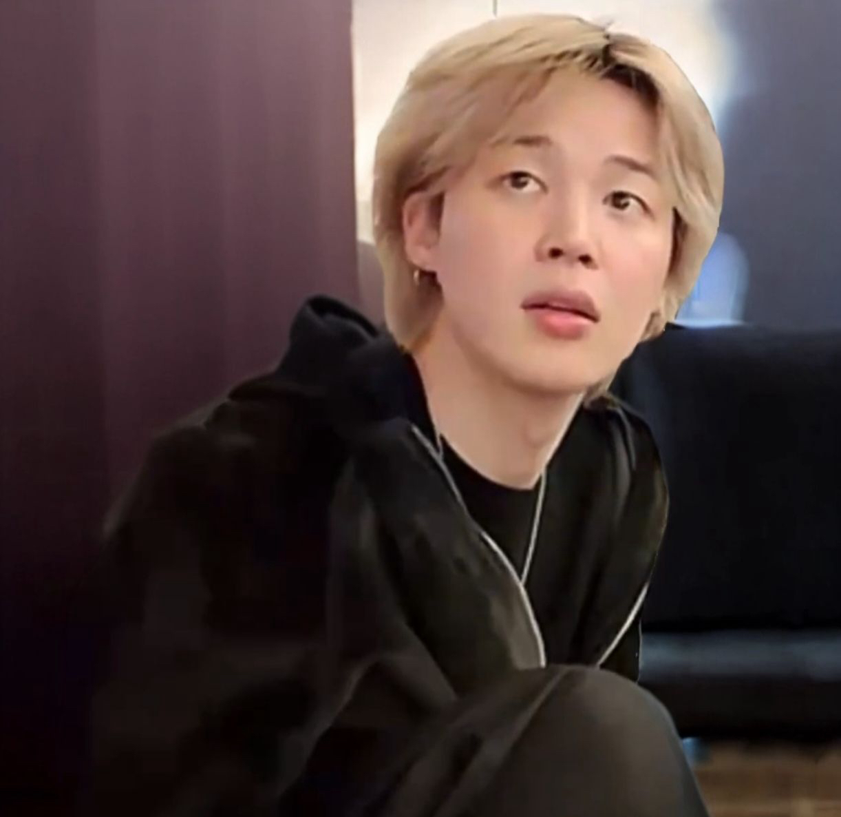 지민 (방탄소년단) 팬이 찍은 순간