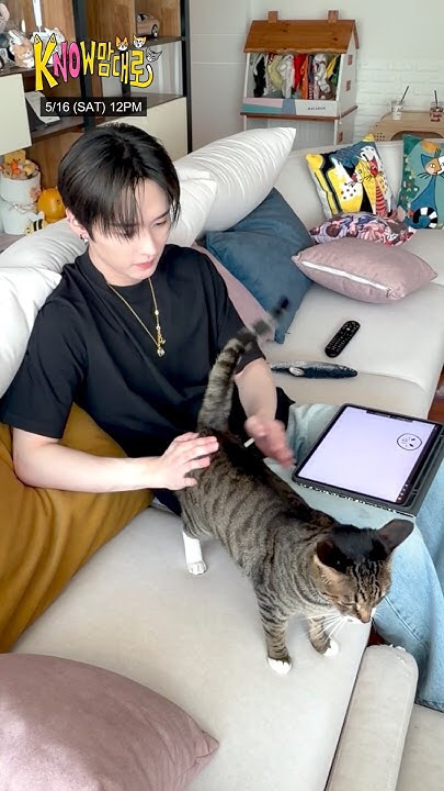 Behind-the-scenes cut of Stray Kids