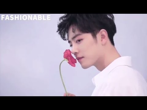 A moment captured by Xiao Zhan's fan