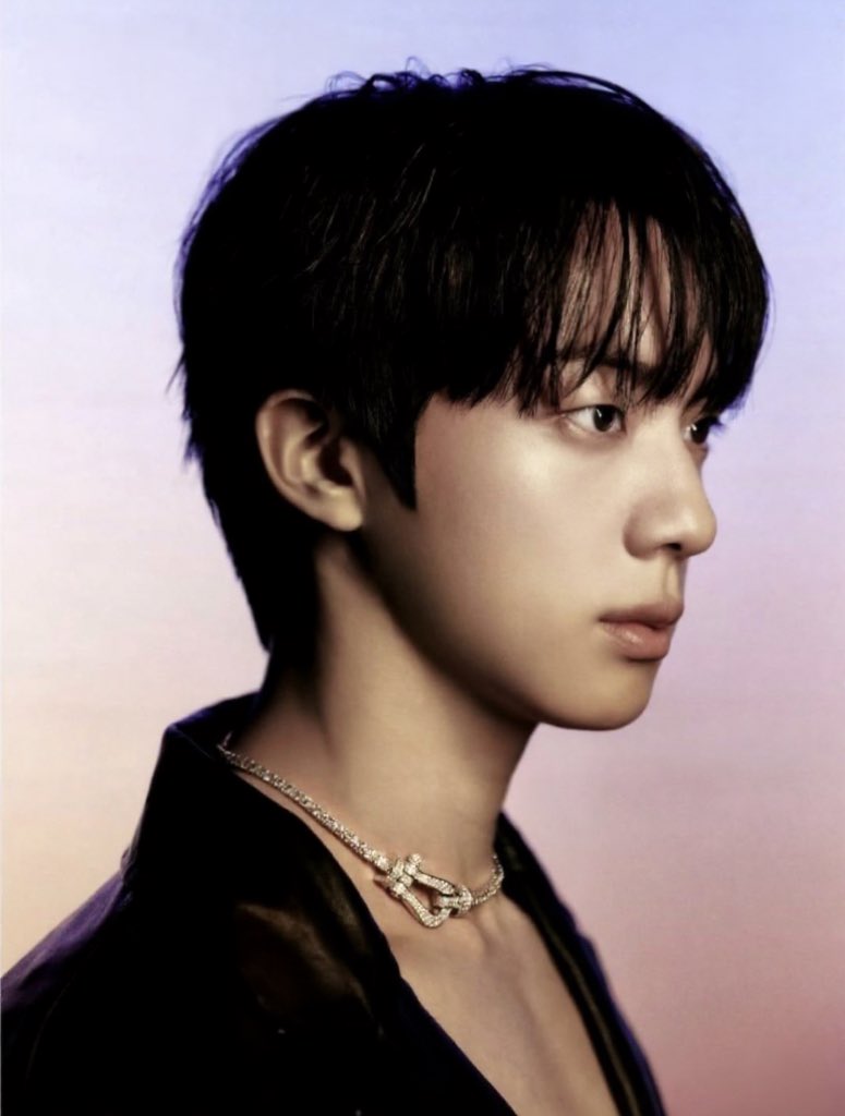 진 (방탄소년단) 팬이 찍은 순간