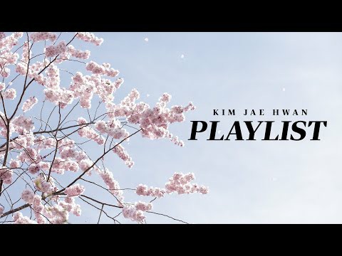 金在奐的最新活動照片