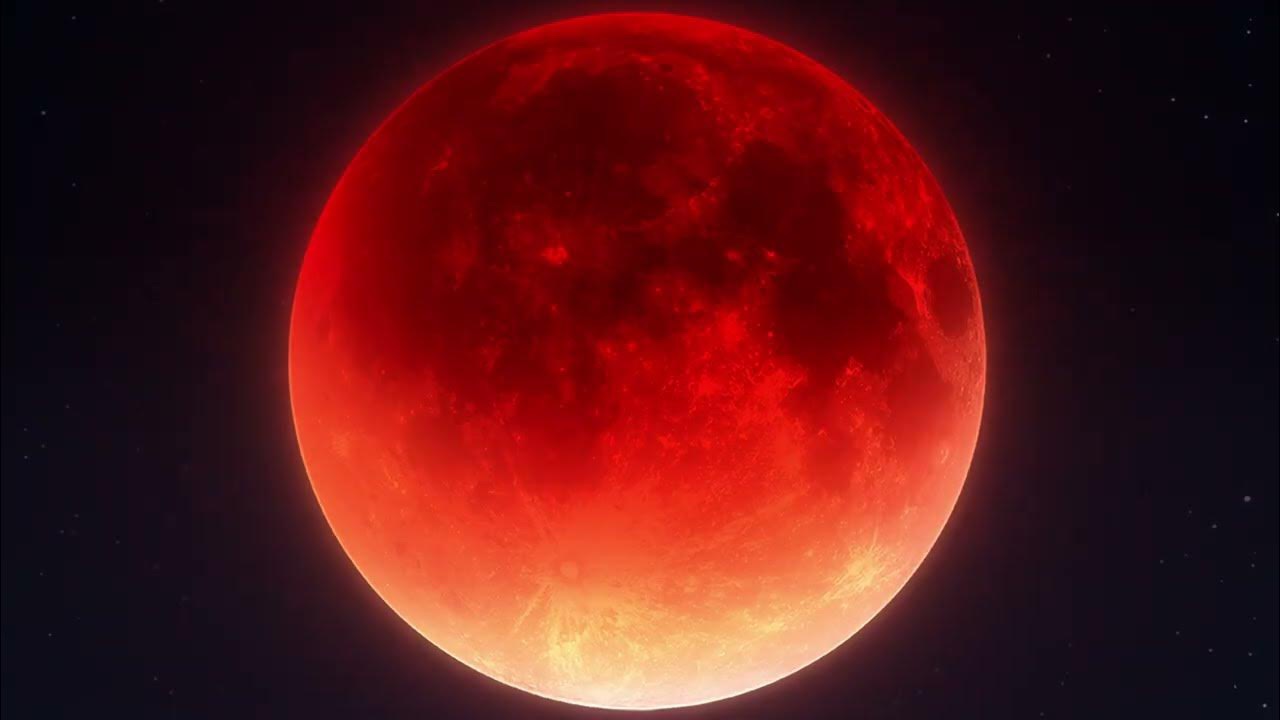 ENHYPEN 팬이 찍은 순간