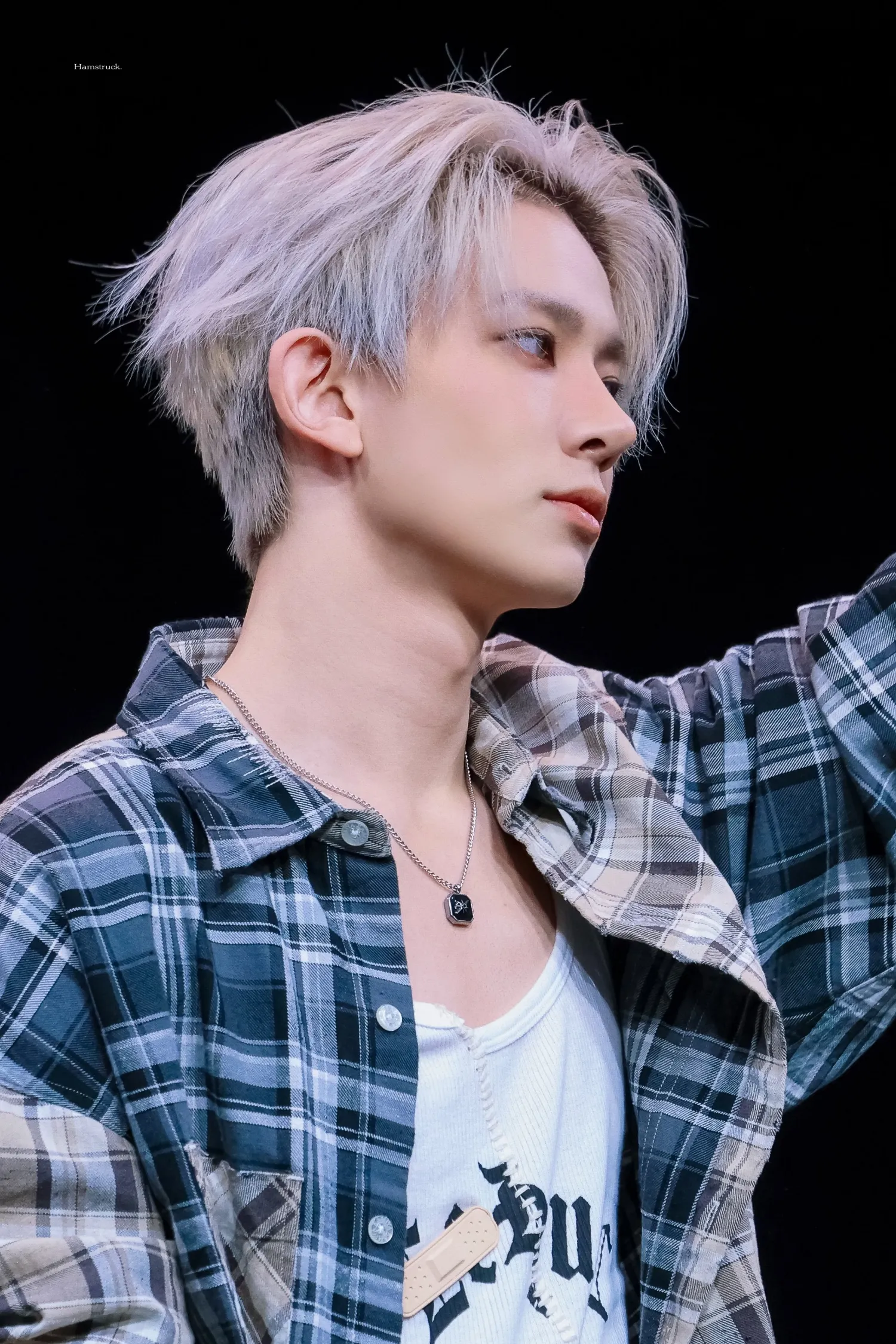 羲承的最新活动照片