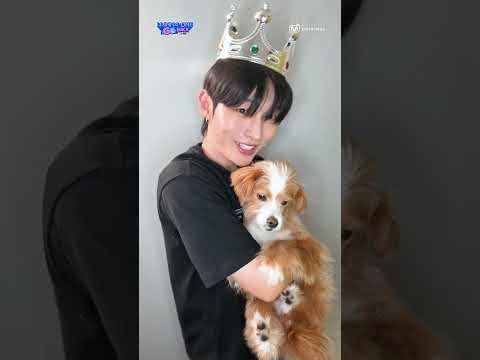 A moment captured by Hwang Minhyun's fan