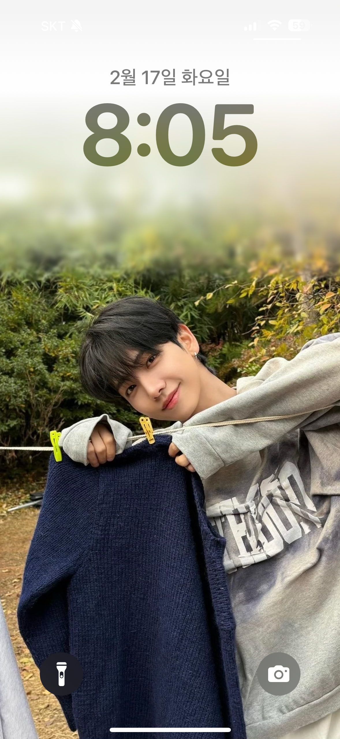 The most beloved wallpaper among Board's fans