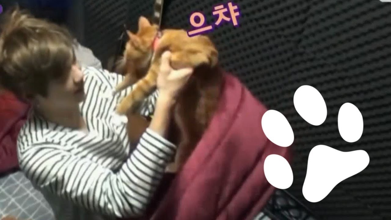 Momen yang diabadikan oleh penggemar Kang Daniel