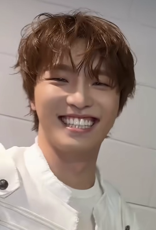 ディノ (SEVENTEEN)ファンが撮った瞬間