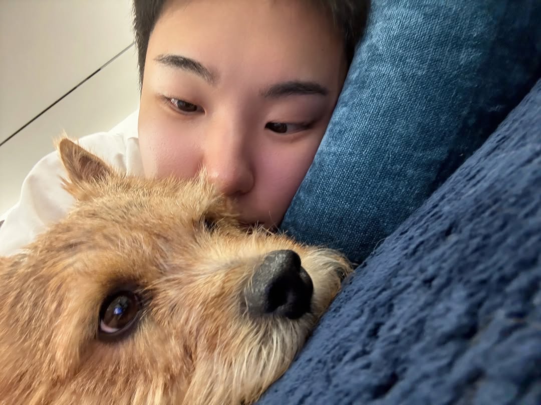 호시 (세븐틴)의 최신 사진