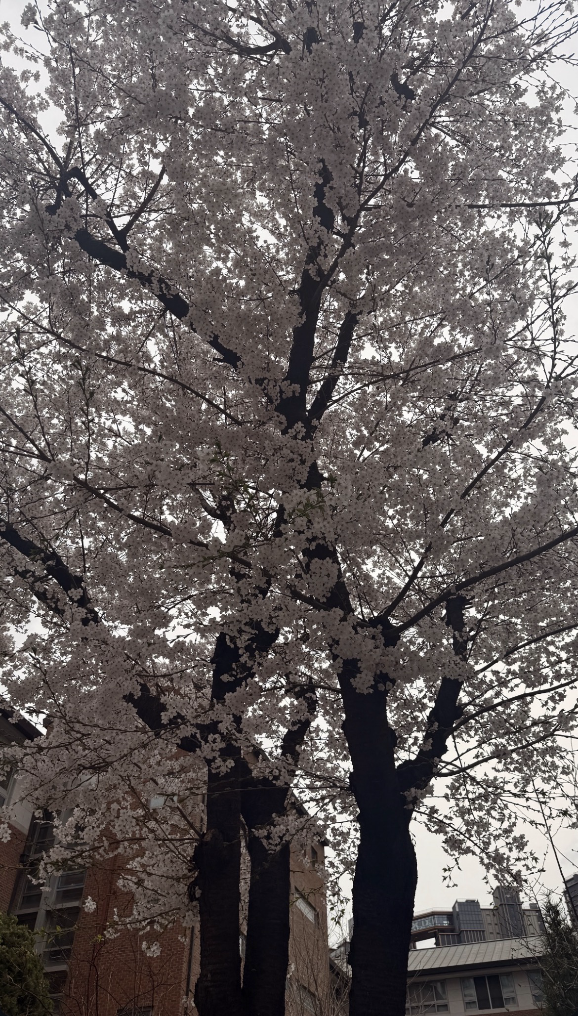 A moment captured by Bitto (UP10TION)'s fan