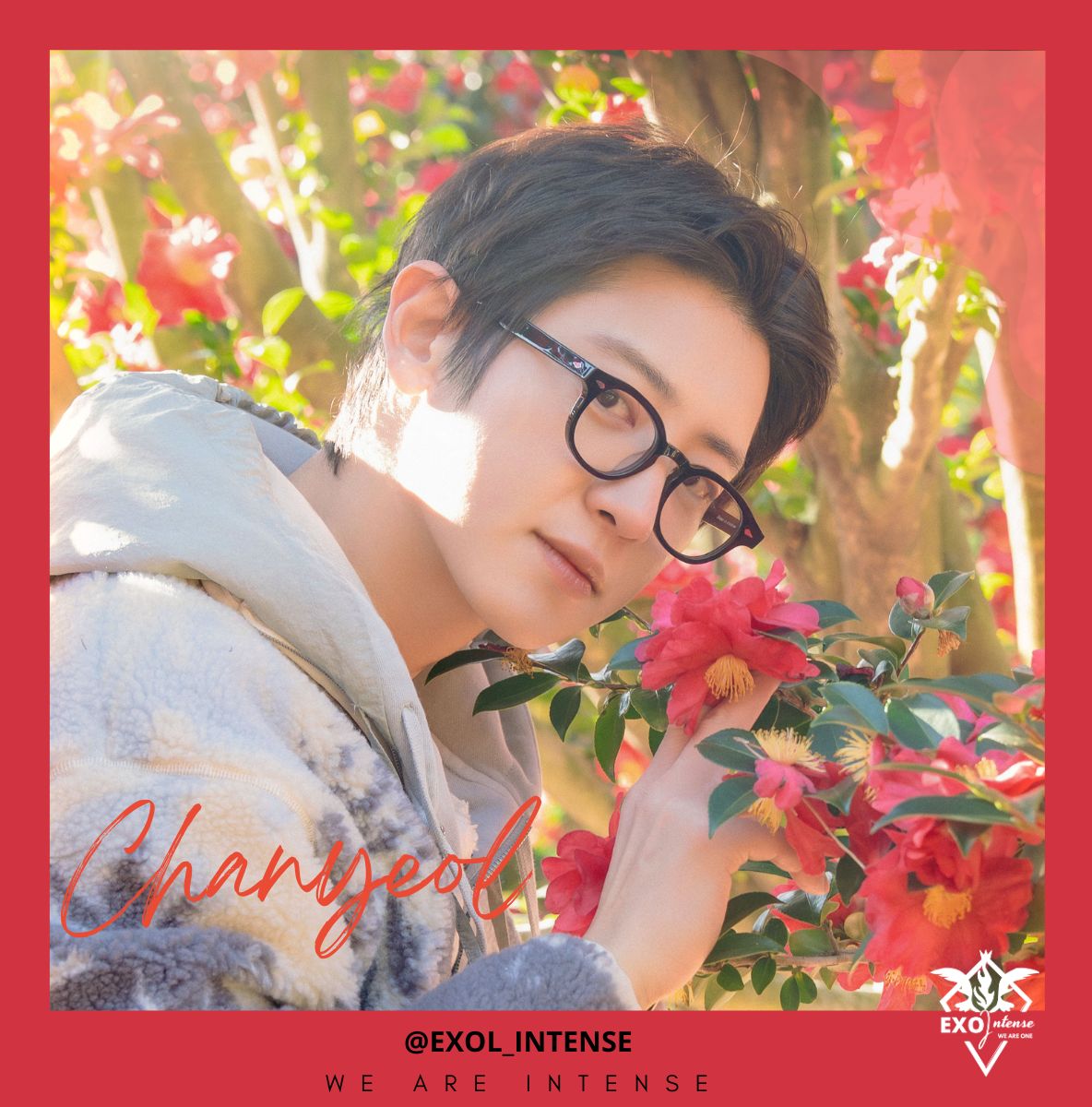 EXO의 최신 사진