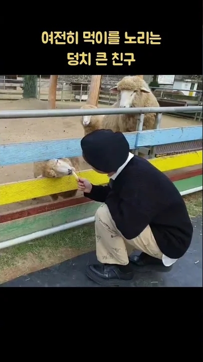 The most beloved wallpaper among Jeong Sewoon's fans