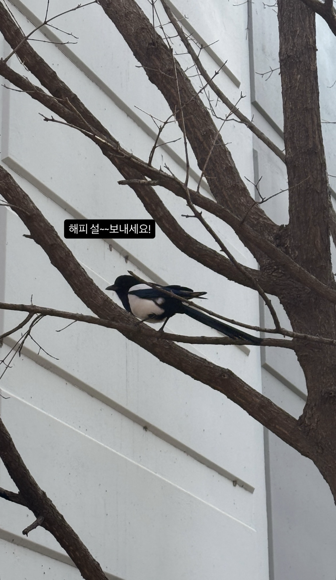 A heartfelt wallpaper shared by Bitto (UP10TION)'s fans