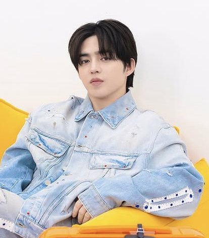 A moment captured by S.Coups (SEVENTEEN)'s fan