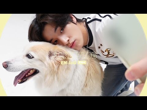 ENHYPEN 팬이 찍은 순간