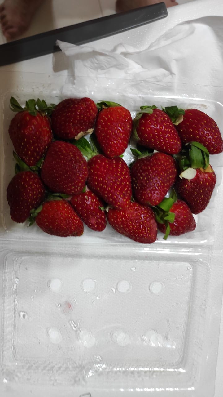 미나 (TWICE) 팬이 찍은 순간